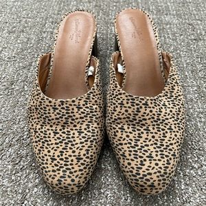 UNIVERSAL THRED ANIMAL PRINT MULES
